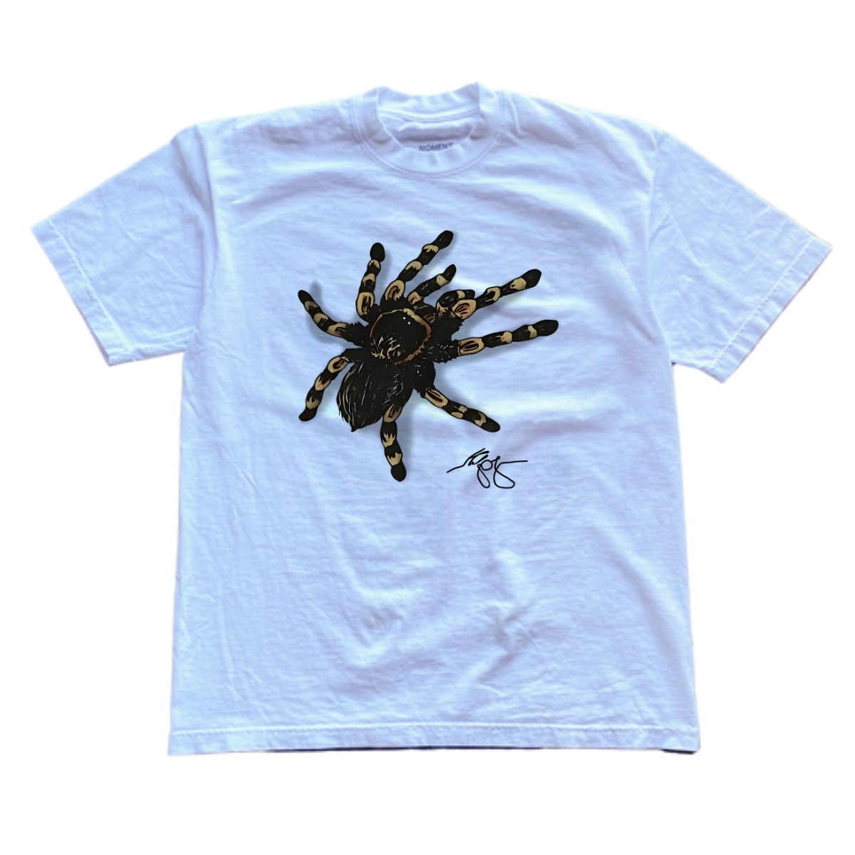 Spider 3D T shirt