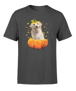 Dog in Pumpkin Halloween Gifts T-Shirt