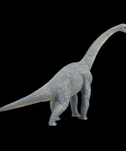 Mojo BRACHIOSAURUS DINOSAUR model figure toy Jurassic prehistoric figurine gift