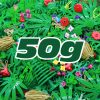 50g-plant-bricks