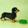 dachshund-nobox