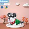 little-schnauzer