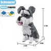 schnauzer