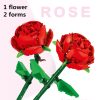 1-flower-but-2-forms-193