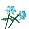 2-blue-rose