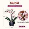 orchid