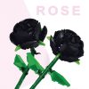 black-rose