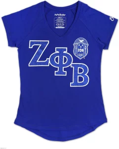 Big Boy Zeta Phi Beta Divine 9 V-Neck Ladies Tee