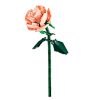 1-pc-rose