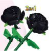 1-pc-rose-203196826