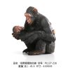 chimpanzee-and-baby