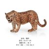 cheetah-b