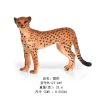 cheetah-c