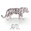 white-tiger-c