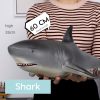 shark-no-sound