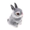 grey-rabbit