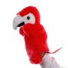 red-parrot-02