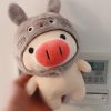 22cm-totoro-pig