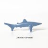 blue-shark-a