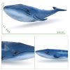 blue-whale